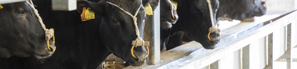 勢戸牧場航空写真